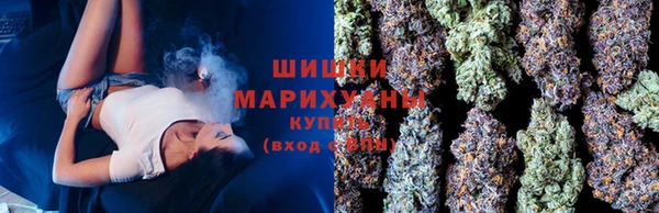 PSILOCYBIN Карталы