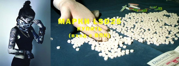 PSILOCYBIN Карталы